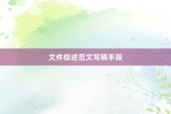 文件综述范文写稿手段
