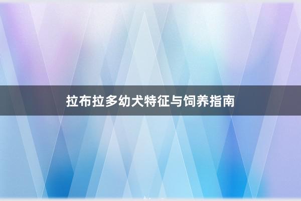 拉布拉多幼犬特征与饲养指南
